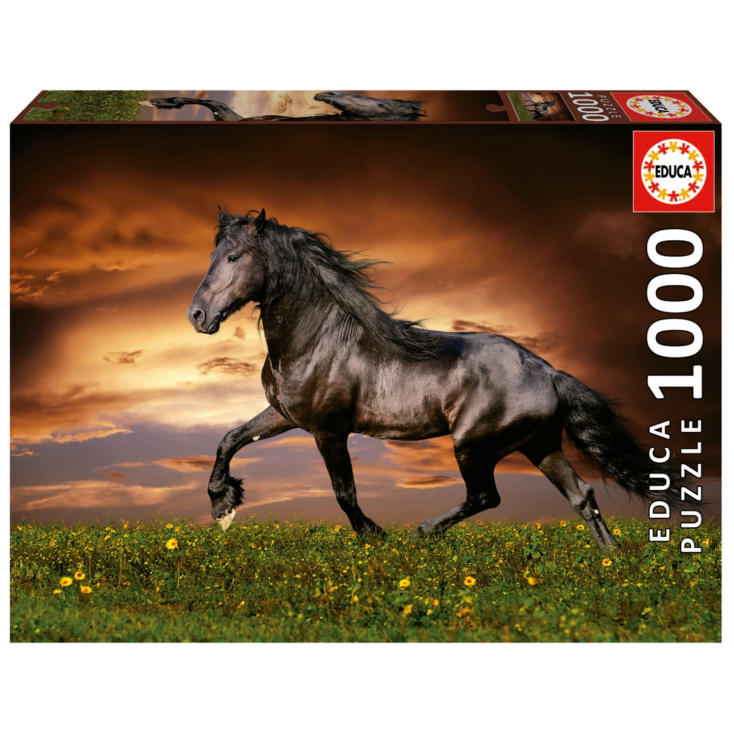 1000PZ CABALLO AL TROTE