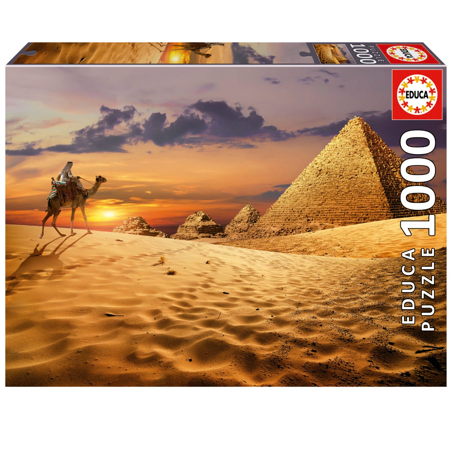 P1000 Camello en el desierto
