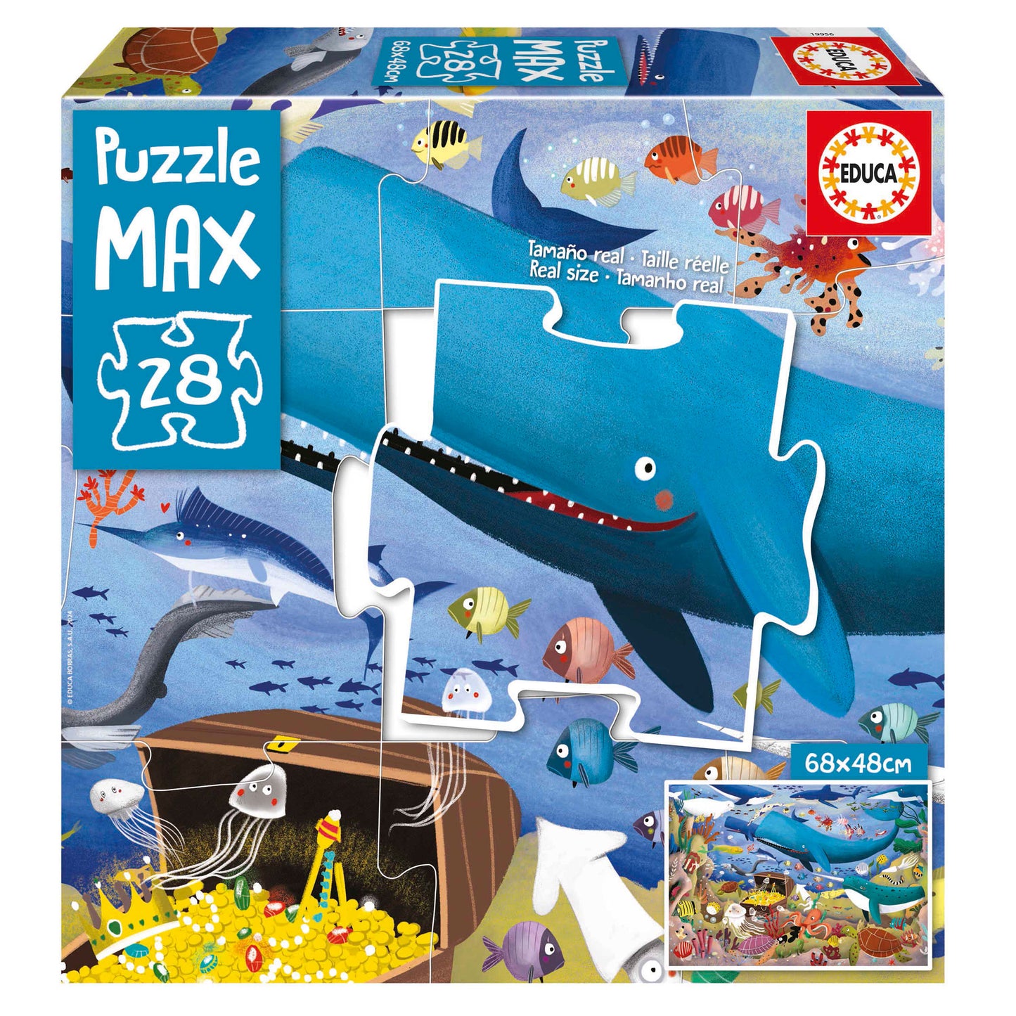 28 ANIMALES BAJO EL MAR