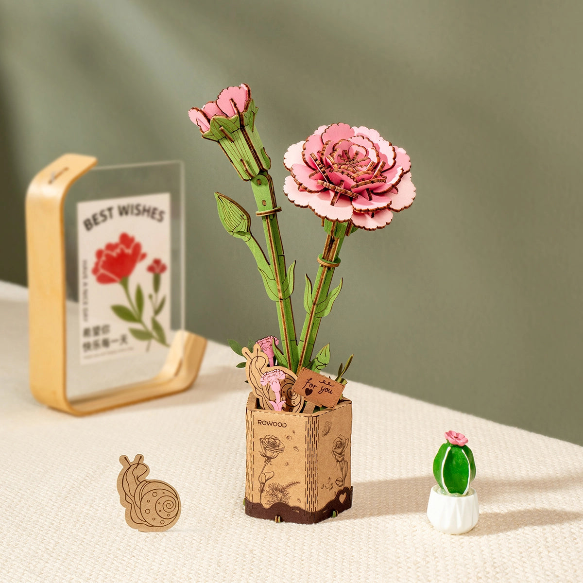 CLAVEL ROSA