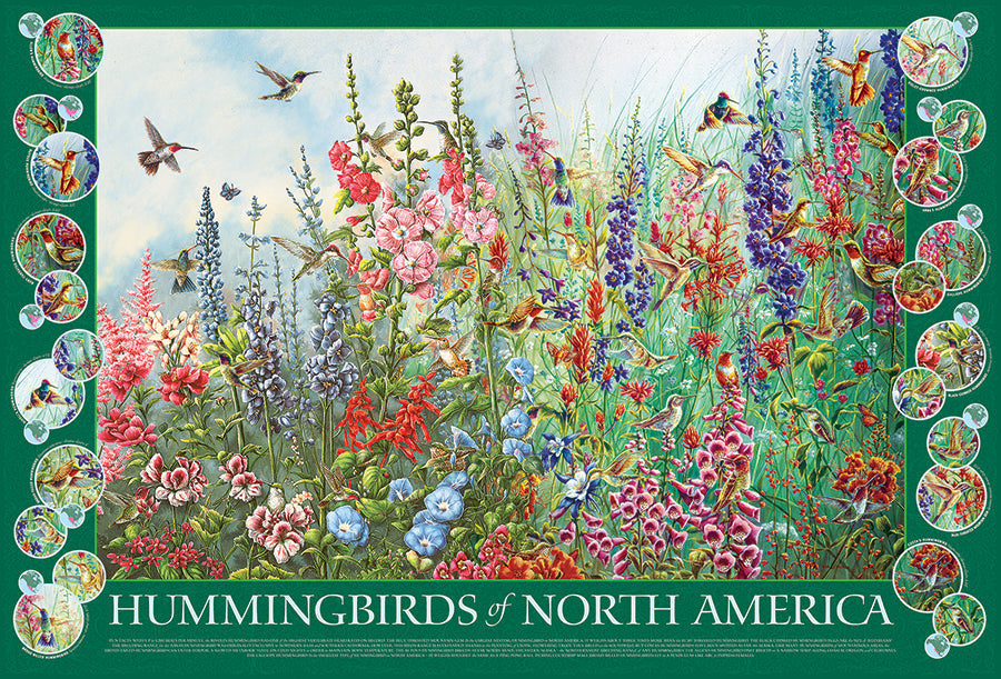 Colibríes de Norte América- puzle 2000 piezas.