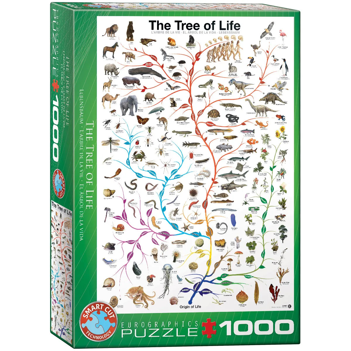 P1000 El Arbol de la Vida