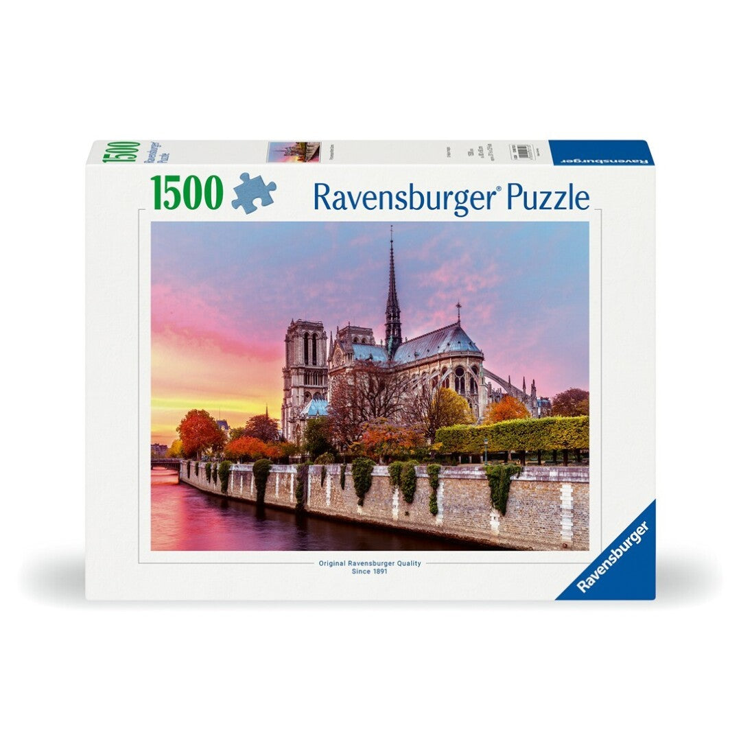 Notre Dame al atardecer
