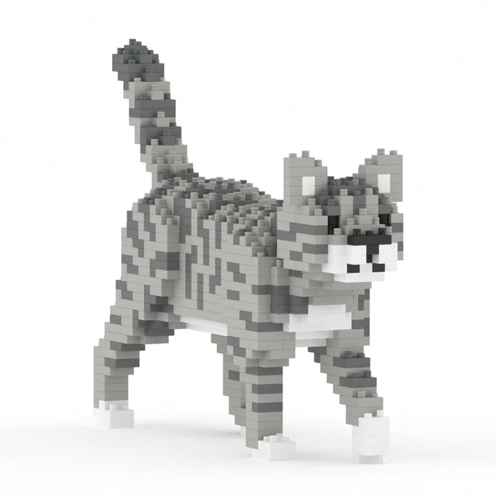 GATO GRIS TABBY