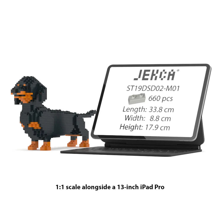 Teckel mediano