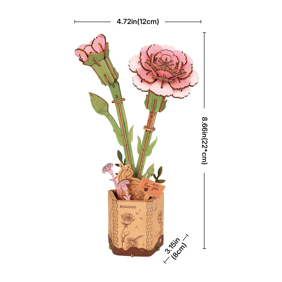 CLAVEL ROSA