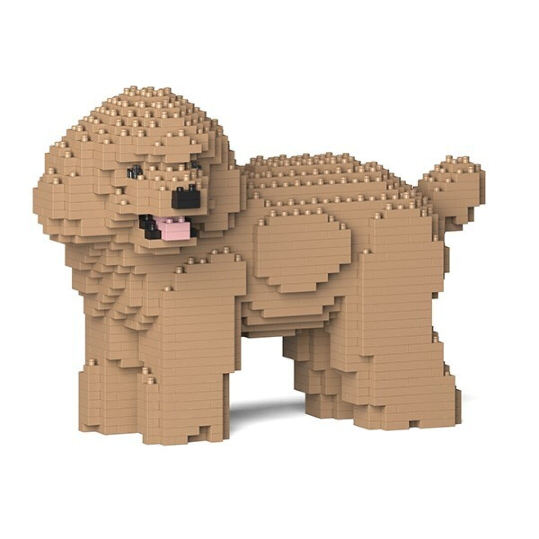 Toy Poodle