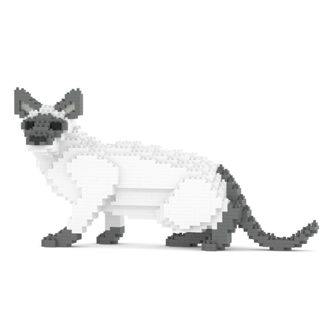 Siamese Cat