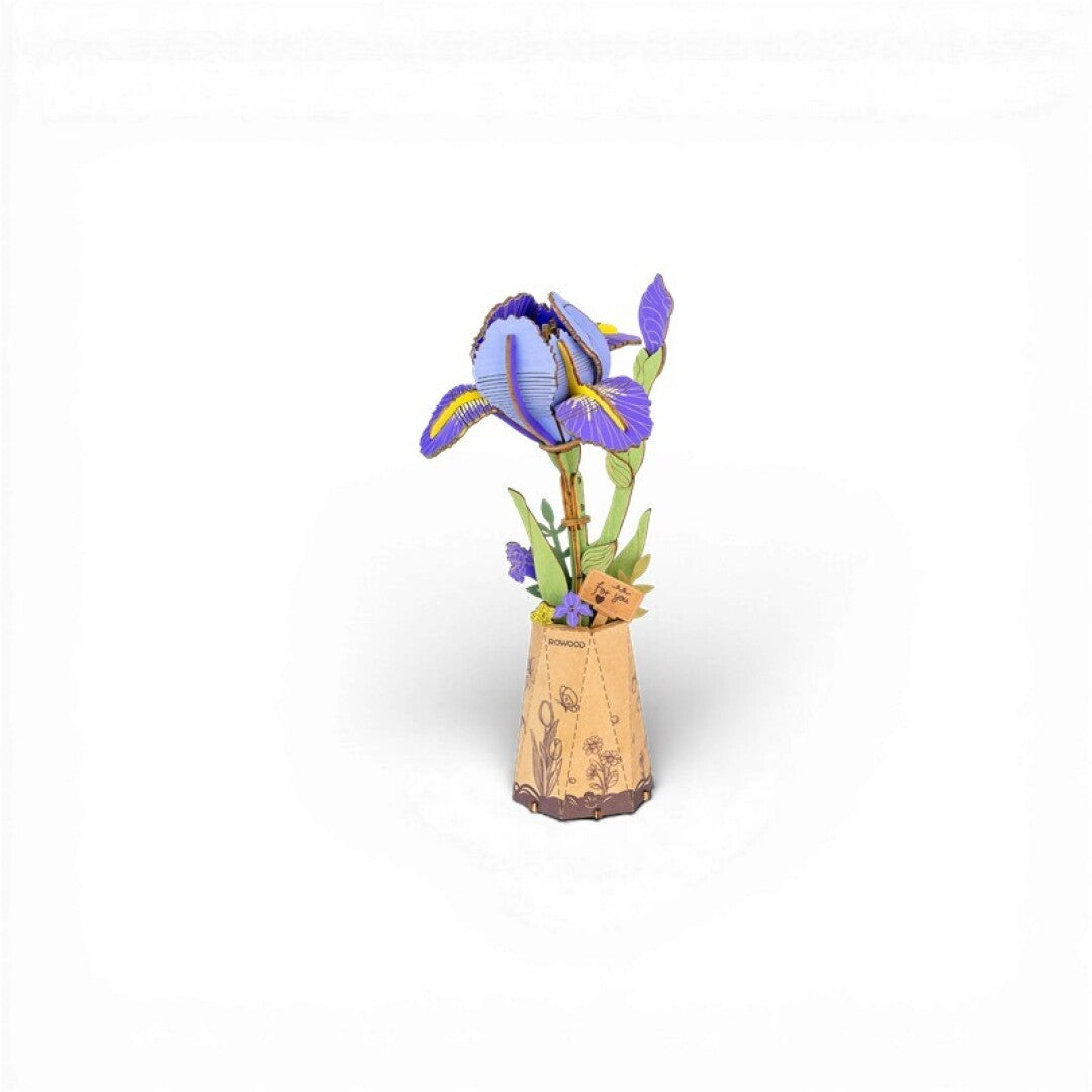 Purple Iris