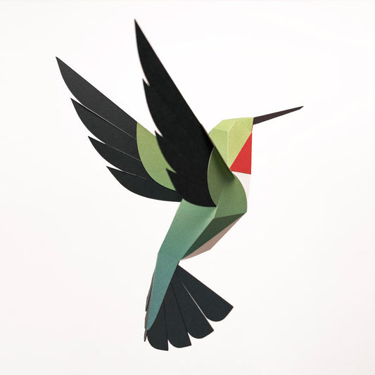 colibri
