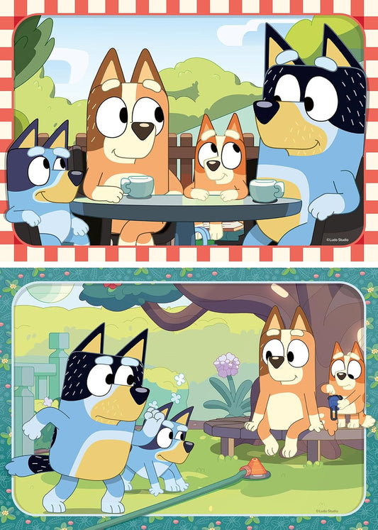 BLUEY 2 X 12
