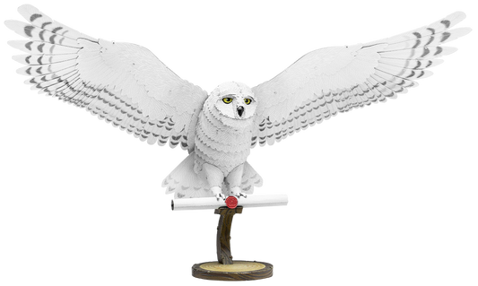 Hedwig