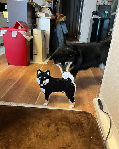 SHIBA INU