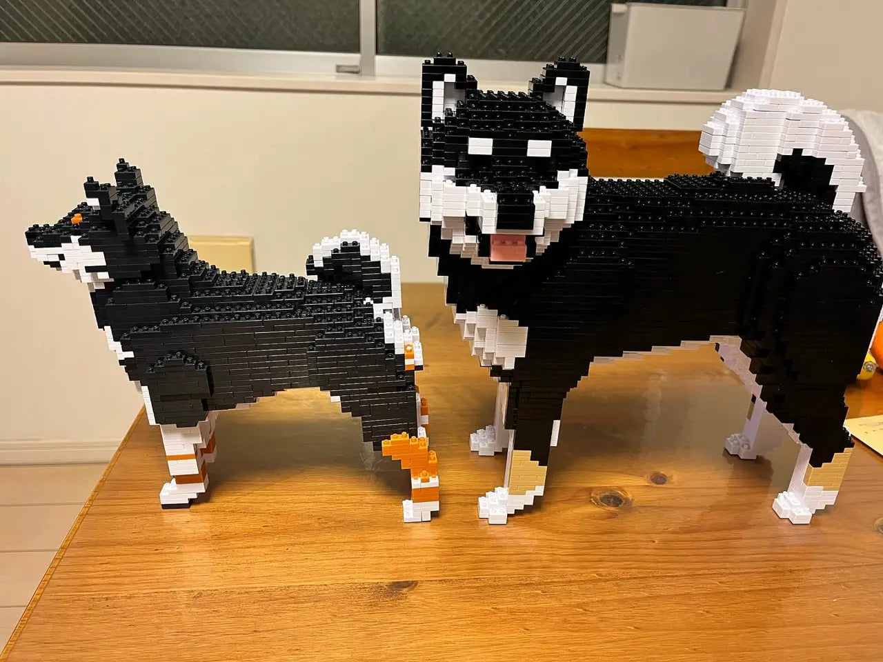 SHIBA INU