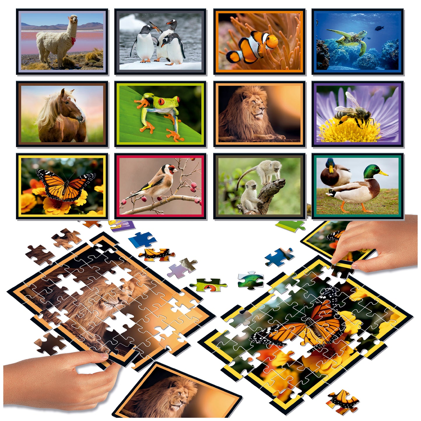 NATURA PUZZLE BATTLE