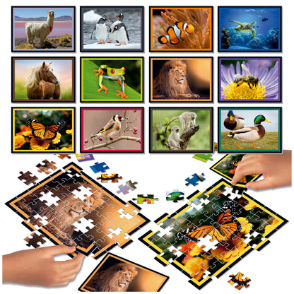 NATURA PUZZLE BATTLE