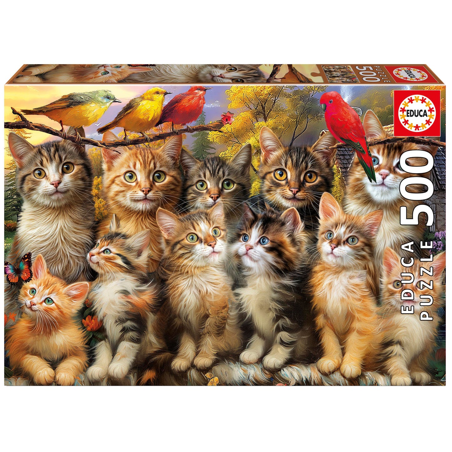P500 GATOS Y PAJAROS