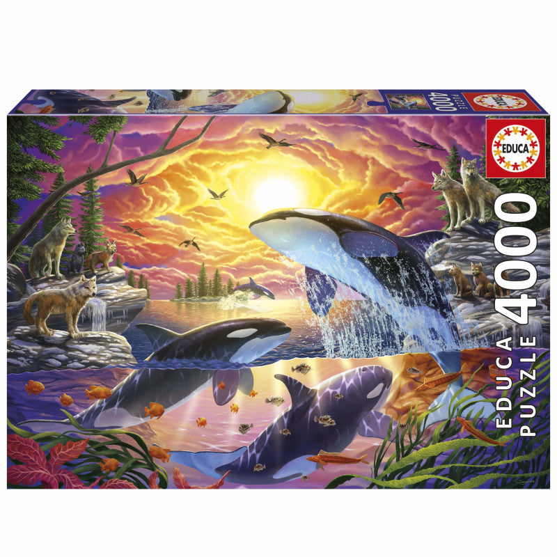 ORCAS Y LOBOS  - PUZZLE 4000 PIEZAS