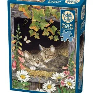 Puzzle 500 piezas