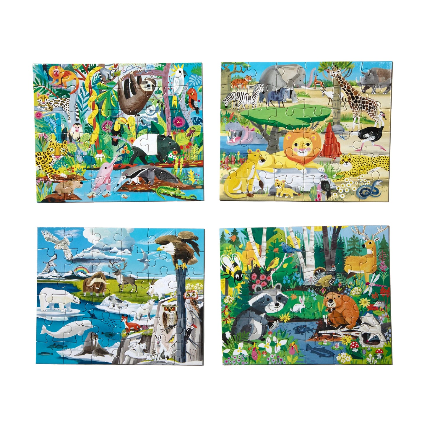 Eeboo Surtido Mini Puzzles Wild Habitats 4 diseños...