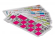 48 cartones para bingo