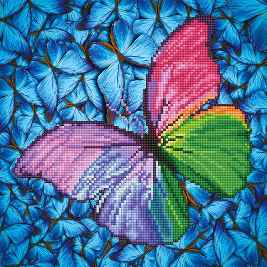 Diamond painting kit:  Flutter by pink