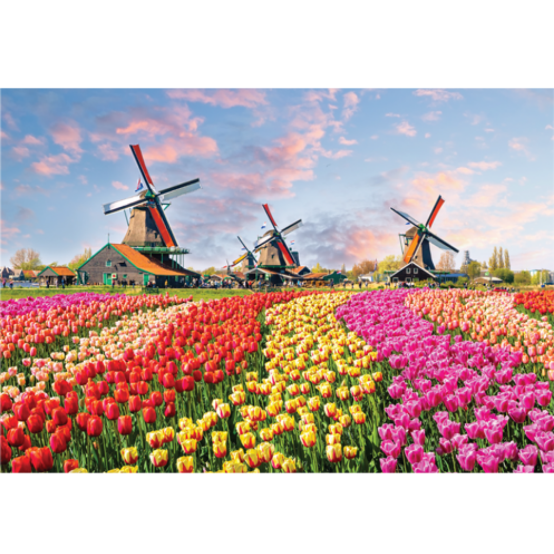 Puzzle: Holanda 1000 piezas