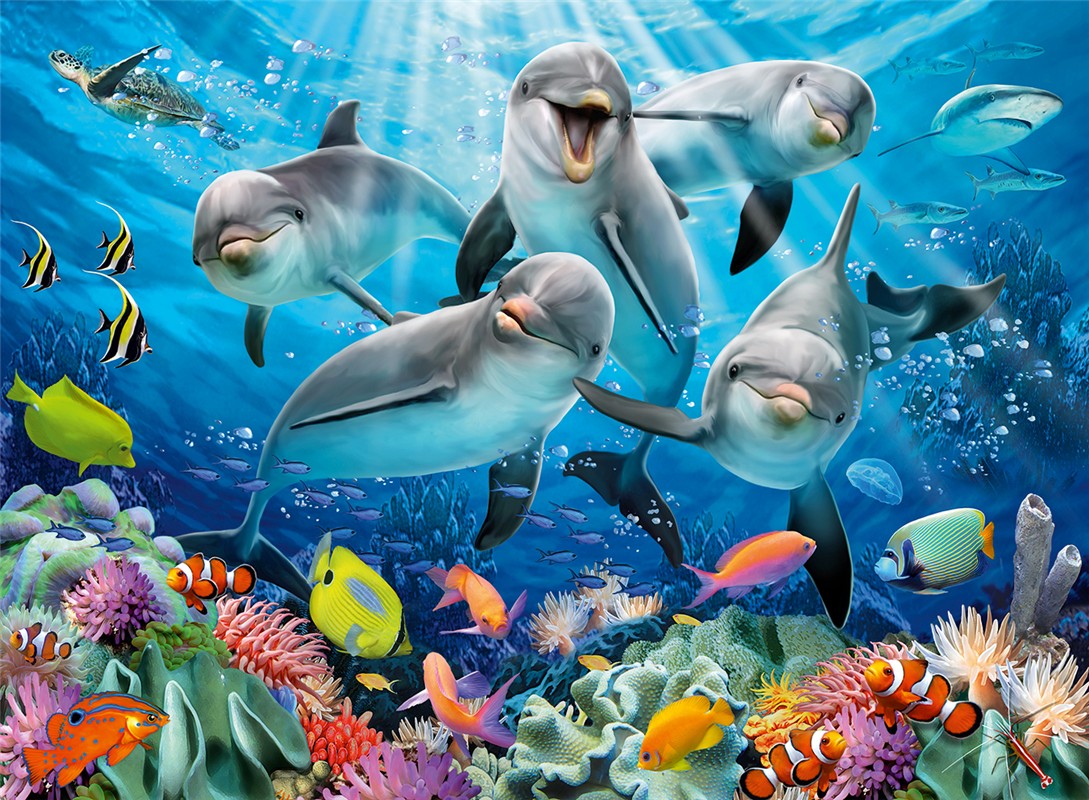 Delfines 500 pc