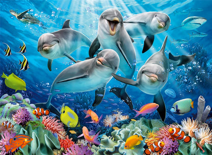 Delfines 500 pc