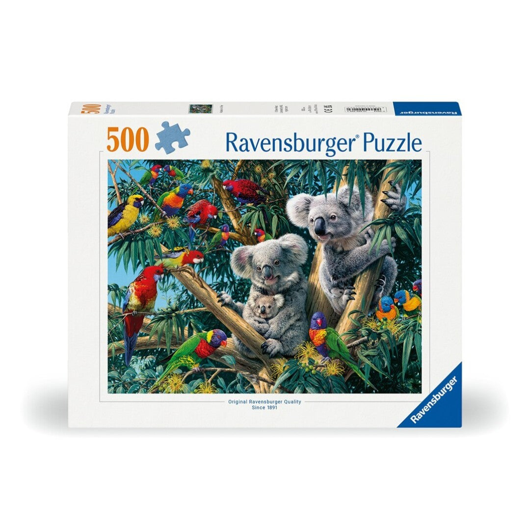 koalas en el arbol