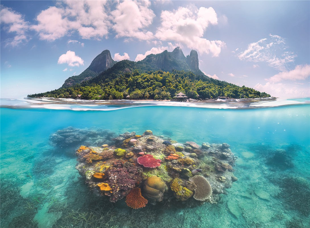 Isla Y Arrecife De Coral Puzzle 500 Piezas