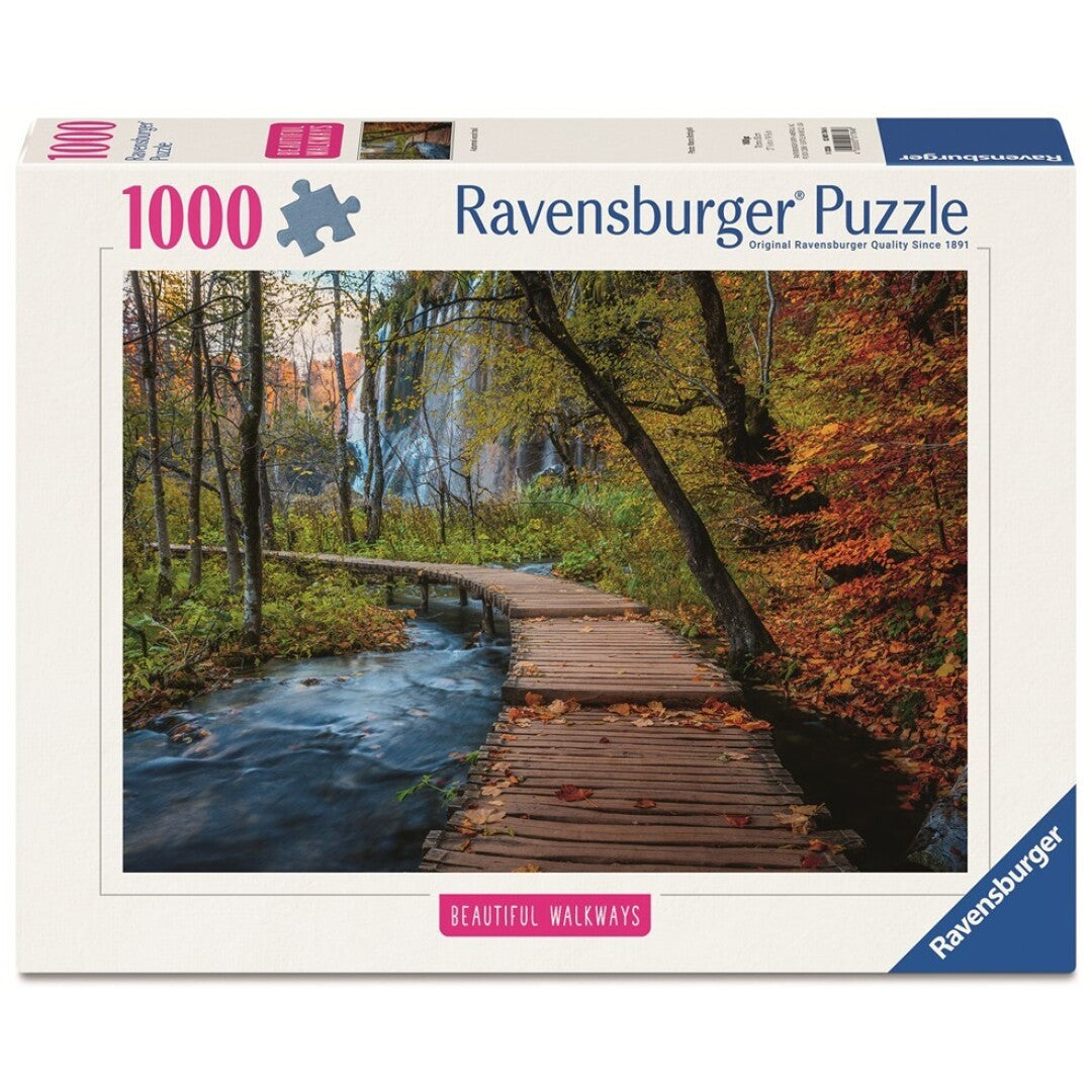 Sendero en el bosque otoñal 1000 pc