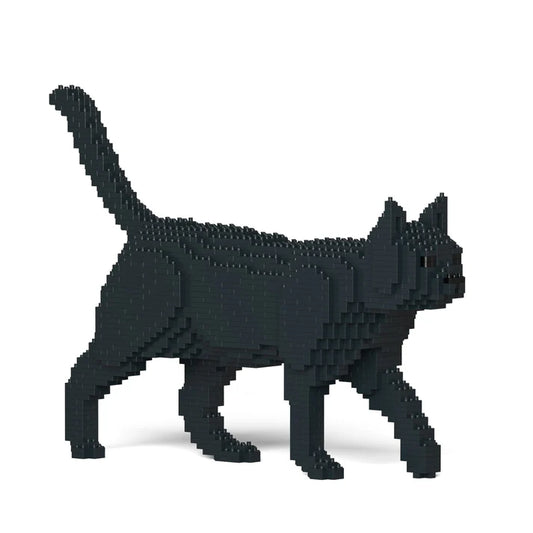 BLACK CAT