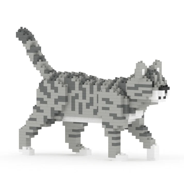 GATO GRIS TABBY