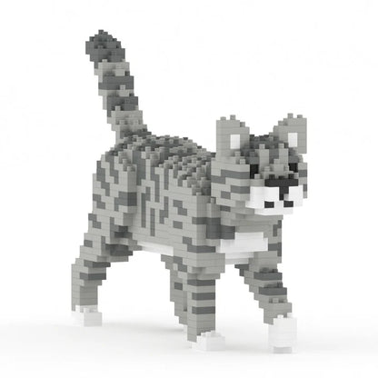 GATO GRIS TABBY