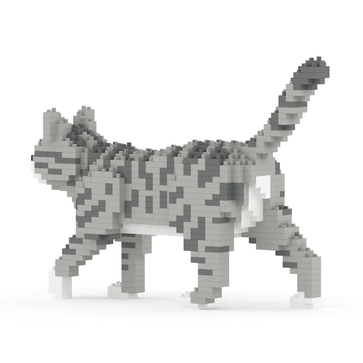 GATO GRIS TABBY