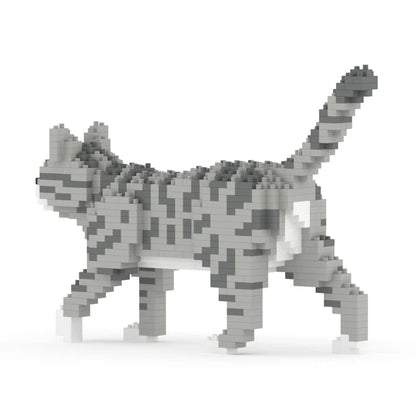 GATO GRIS TABBY