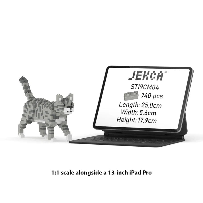 GATO GRIS TABBY