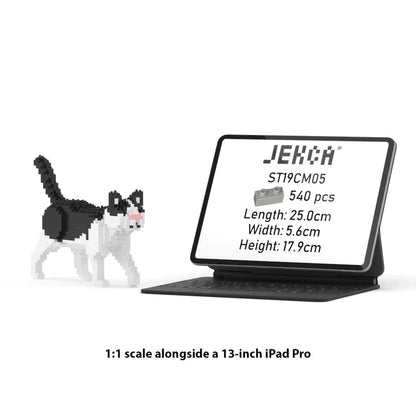 GATITO BLANCO Y NEGRO