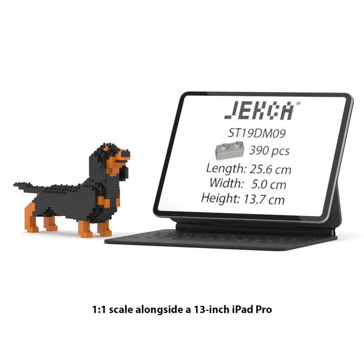 Teckel mini