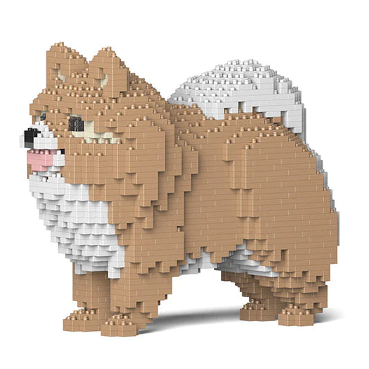 POMERANIAN
