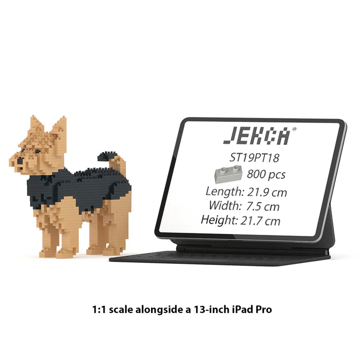 YORKSHIRE TERRIER