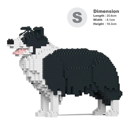 BORDER COLLIE