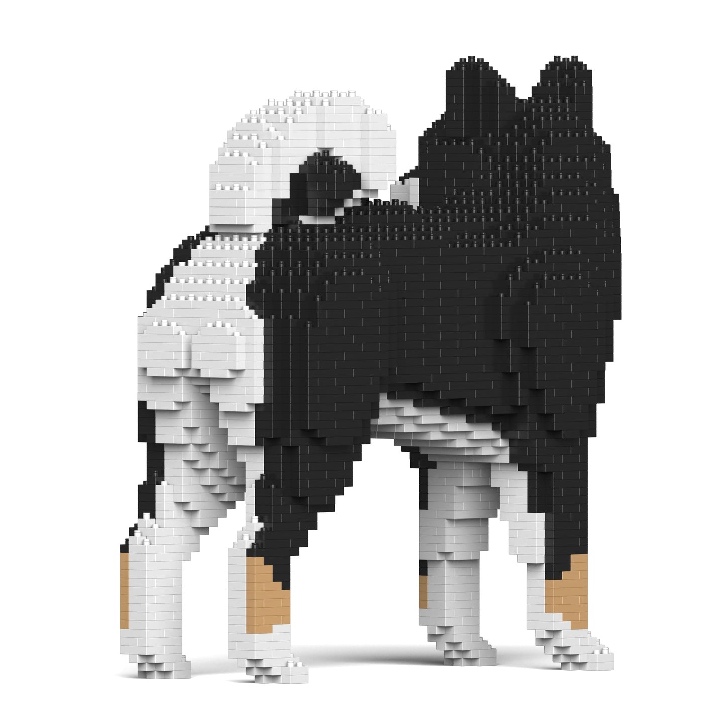 SHIBA INU