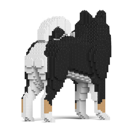 SHIBA INU