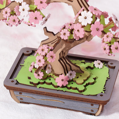 SAKURA BONSAI