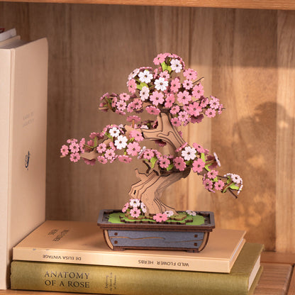 SAKURA BONSAI