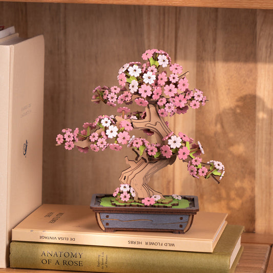 SAKURA BONSAI