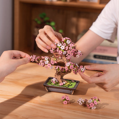 SAKURA BONSAI