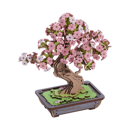 SAKURA BONSAI